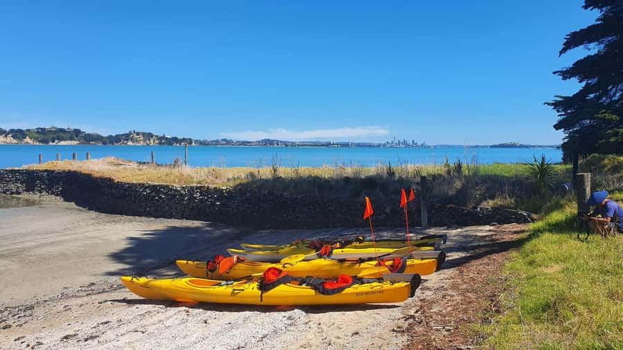 Auckland: Browns Island (Motukorea) Sea Kayak Tour - Price and value: why $89 can make sense for a volcanic island day
