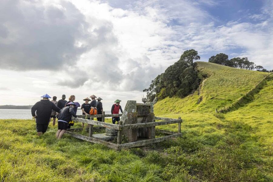 Auckland: Browns Island (Motukorea) Sea Kayak Tour - Who this tour fits best, and who should think twice