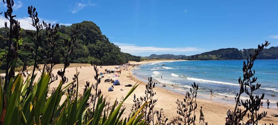 Auckland: Cathedral Cove and Coromandel Small Group Tours - Who this tour is best for