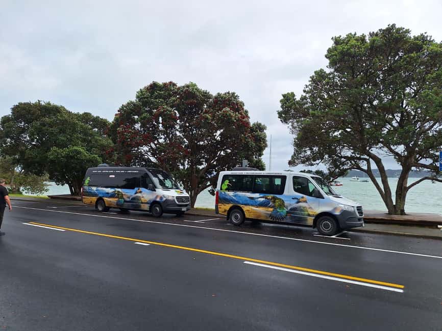 Auckland: Cathedral Cove and Coromandel Small Group Tours - Why Mautohe Cathedral Cove is worth the effort