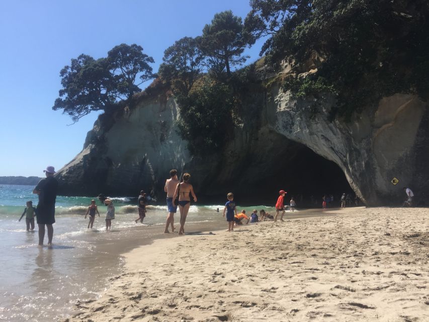Auckland: Cathedral Cove and Coromandel Small Group Tours - Price and value: is $155 per person fair?
