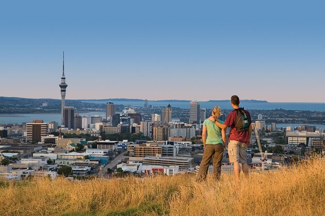 Auckland City and West Coast Full Day Tour - Piha Beach: black sand, surf culture, and a short-but-sweet window
