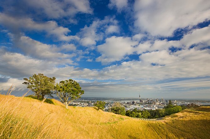 Auckland City and West Coast Full Day Tour - Lunch and the snack rhythm that keeps the day from dragging