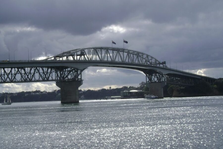 Auckland City, Beaches & Rainforest Premium Small Group Tour - Kiwi-Style Afternoon Tea and How to Manage Lunch