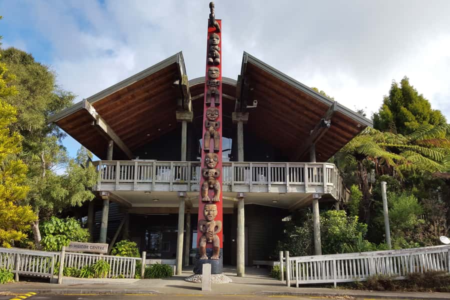 Auckland City, Beaches & Rainforest Premium Small Group Tour - Who This Tour Fits Best in Auckland