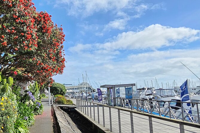 Auckland City Halfday Guide Tour - A City and Coast Combo in 3.5 Hours