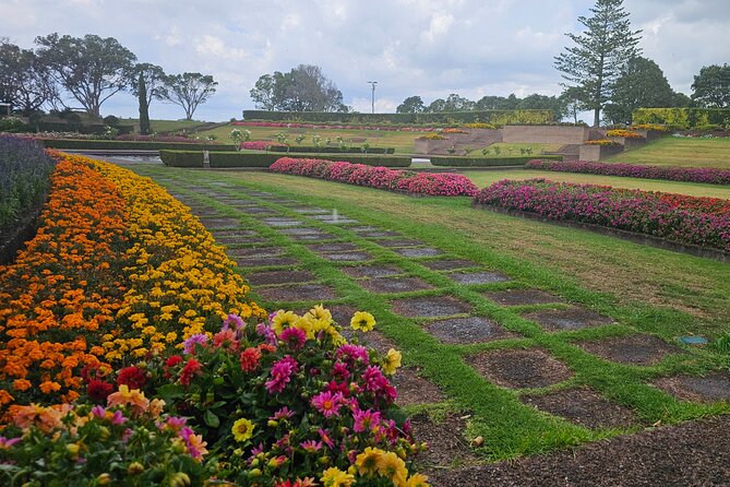 Auckland City Halfday Guide Tour - Parnell Rose Gardens and Nancy Steen Gardens: A Color-and-Scent Break