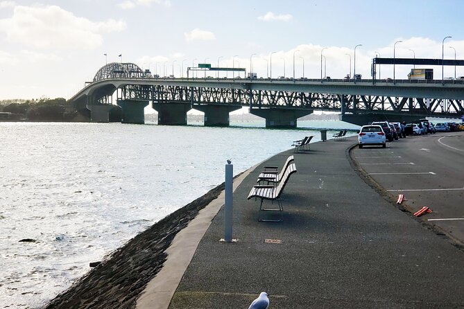 Auckland City Halfday Guide Tour - The Guide Makes the Day: Kay, Customization, and Photo Time