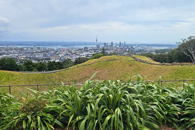 Auckland City Halfday Private Tour - Westhaven Marina: Skyline Views From a Boater’s Hub