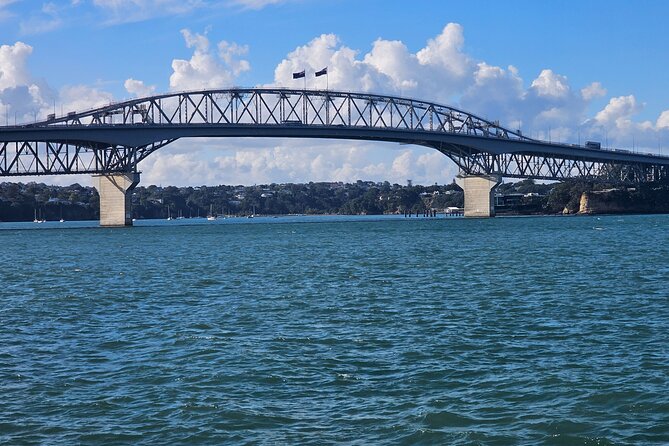 Auckland City Halfday Tour - Price and Value: What $111.70 Buys You