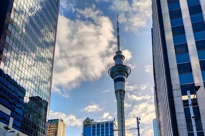 Auckland City Highlights Full Day Tour - How Pickup, Timing, and the 6 to 7 Hour Day Feel