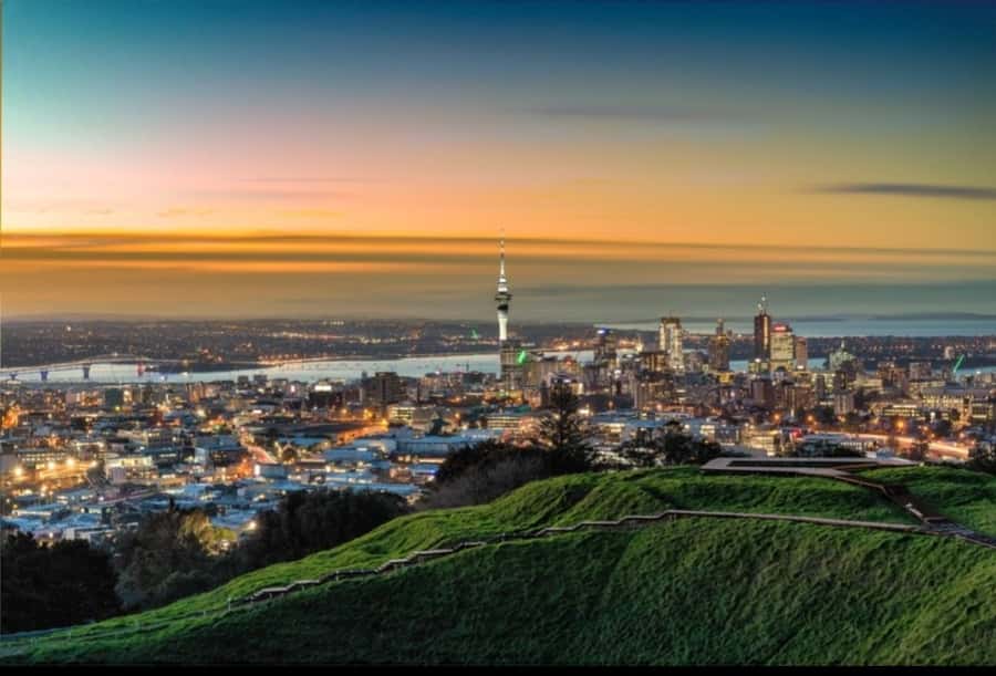 Auckland City Highlights Half Day Tour - A tight 3.5 hours of Auckland highlights, not a long bus crawl