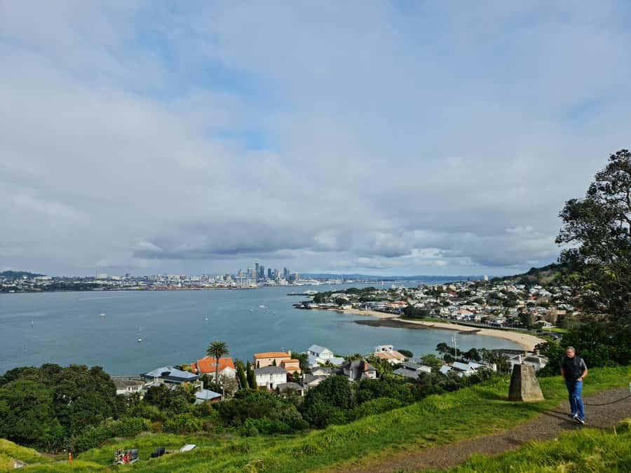 Auckland City Highlights Half Day Tour - Domain Wintergardens and Holy Trinity Cathedral, a change of pace
