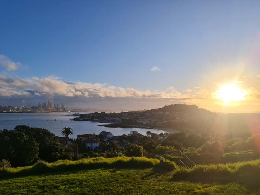 Auckland City Highlights Half Day Tour - CBD pickup and small-group size, why it improves your day