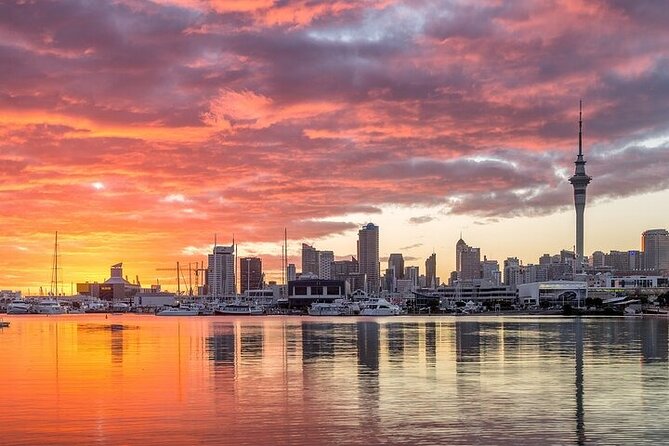 Auckland City Highlights Private Tour - Mount Victoria Reserve and the Disappearing Gun, 360 Views Plus a Rare Relic