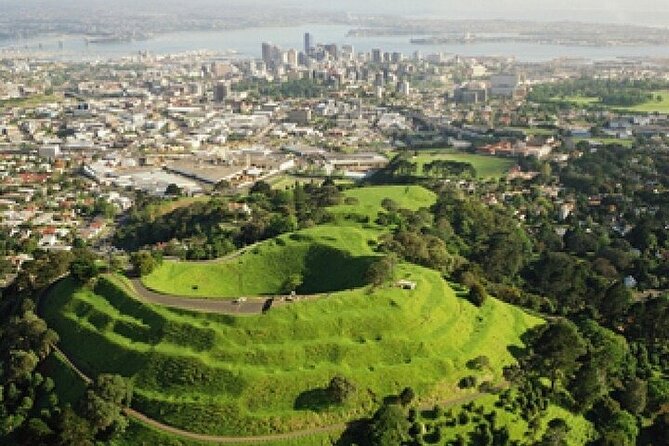 Auckland City Highlights Private Tour - Lunch, Snacks, and the Small Comforts That Make a Private Tour Easier