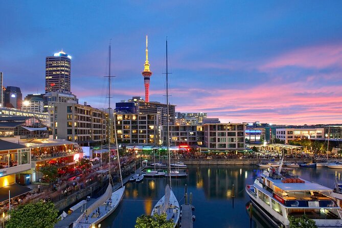 Auckland City Hotel to Cruise Ship Transfer by SUV - Vehicle comfort and suitability, including limited mobility