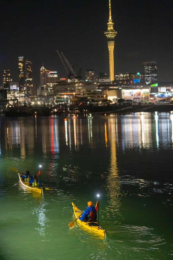 Auckland: City Lights Night Kayak Tour - Quick Hits Before You Paddle