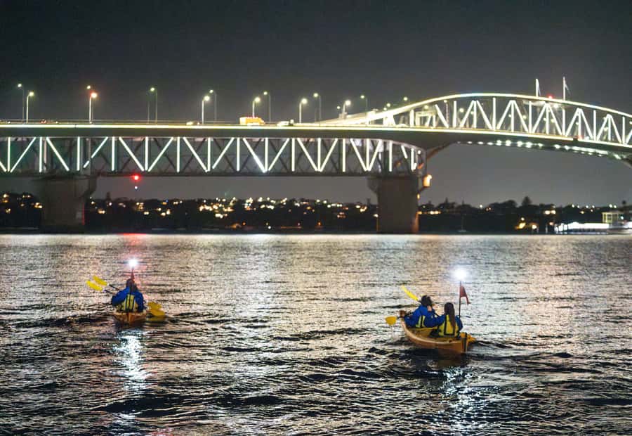 Auckland: City Lights Night Kayak Tour - Westhaven Marina to Waitematā Harbour: The Best Kind of Quiet