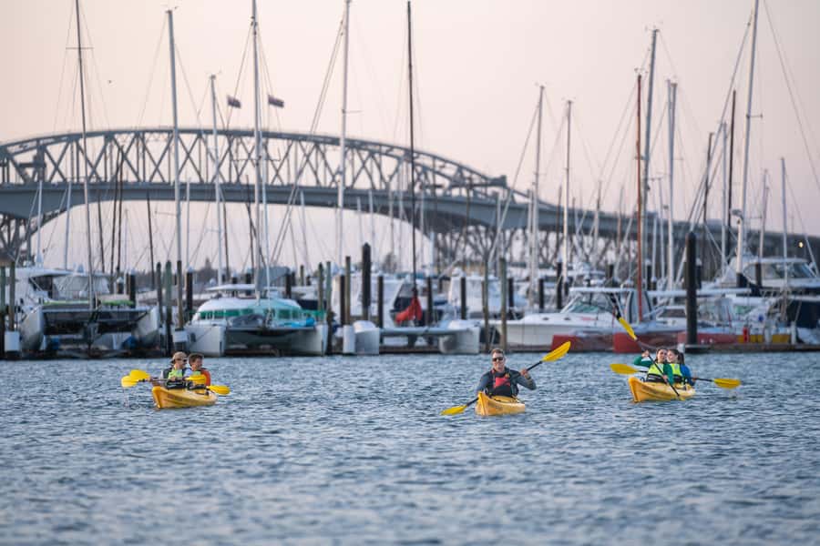 Auckland: City Lights Night Kayak Tour - Viaduct Harbour, Jellicoe Harbour, or North Wharf: Route Flexibility That Helps
