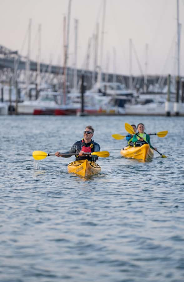 Auckland: City Lights Night Kayak Tour - Gear and Clothing Rules: What to Bring for a Comfortable Night