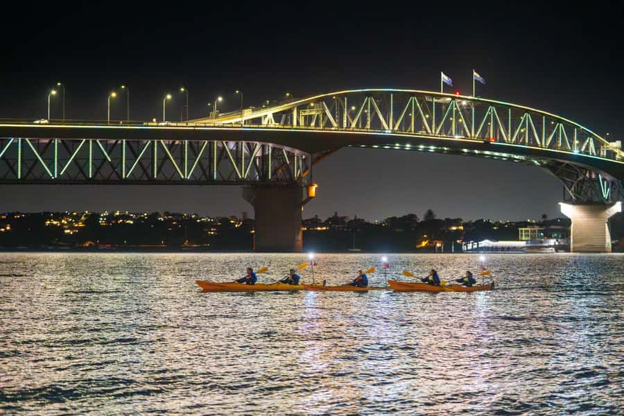 Auckland: City Lights Night Kayak Tour - What You’re Really Getting: Inner-City Kayak Views Without the Crowd