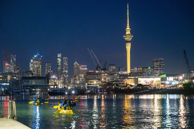 Auckland City Lights Night Kayaking Tour - Key Things You’ll Notice
