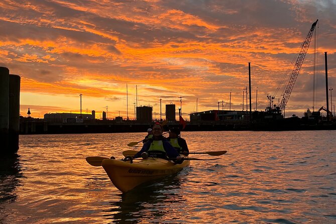Auckland City Lights Night Kayaking Tour - How the 2.5 Hours Usually Feels, Pace-Wise