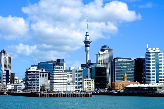 Auckland City & Native Forest Experience - Fully Guided Day Tour - Key highlights worth getting excited about