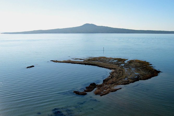 Auckland City & Native Forest Experience - Fully Guided Day Tour - How this tour strings together Auckland without feeling chaotic
