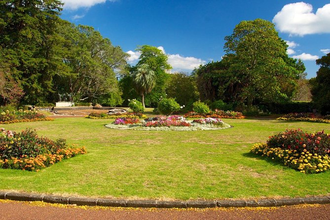 Auckland City & Native Forest Experience - Fully Guided Day Tour - Parnell Rose Garden and Auckland Museum area: calm pauses in the middle