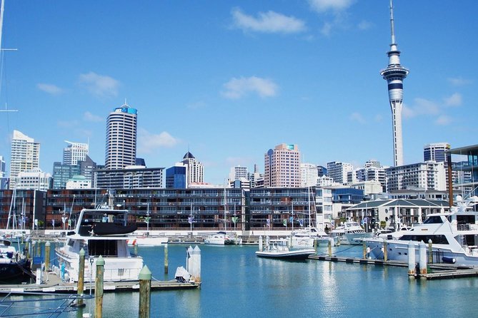 Auckland City Private Tour for Couples. Be chauffeur driven with added extras. - Devonport and North Head: the bayside break you will talk about later