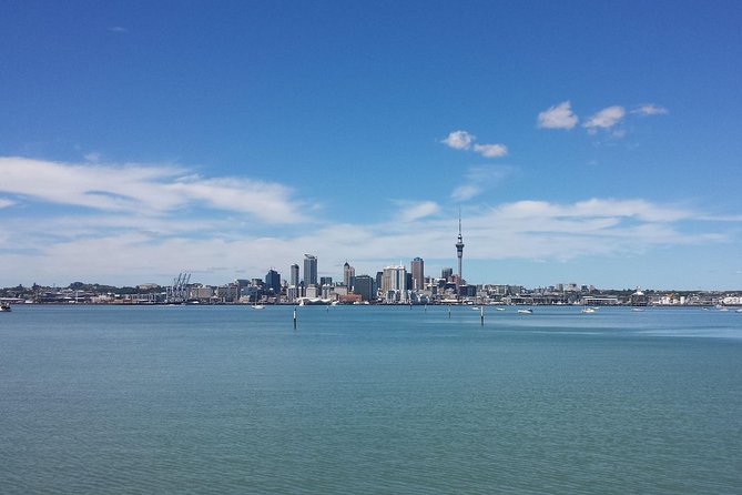 Auckland City Small-Group Morning Discovery Tour - Harbour Bridge to Narrow Neck Beach: Rangitoto views and a real reset