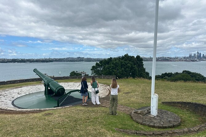 Auckland City Top Sights Half Day Tour - Small Group - Westhaven Marina: where Auckland’s boats and bays meet