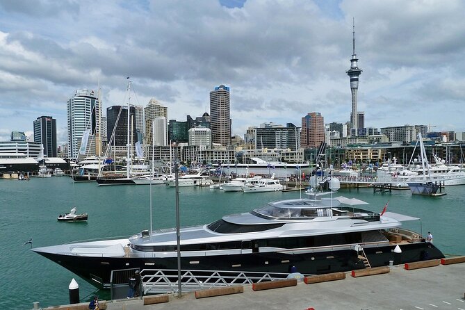 Auckland City Top Sights Half Day Tour - Small Group - Mount Eden (Maungawhau): the volcano viewpoint that anchors the city