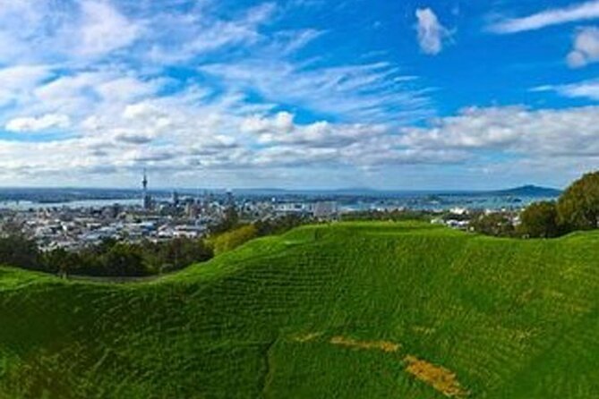 Auckland City Volcano & Scenic Highlights Tour - Auckland volcanoes and city viewpoints in one tight, 3.5-hour plan