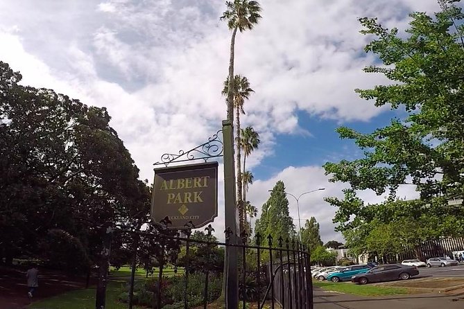 Auckland City Volcano & Scenic Highlights Tour - 100% electric van travel: quieter rides, easier mood