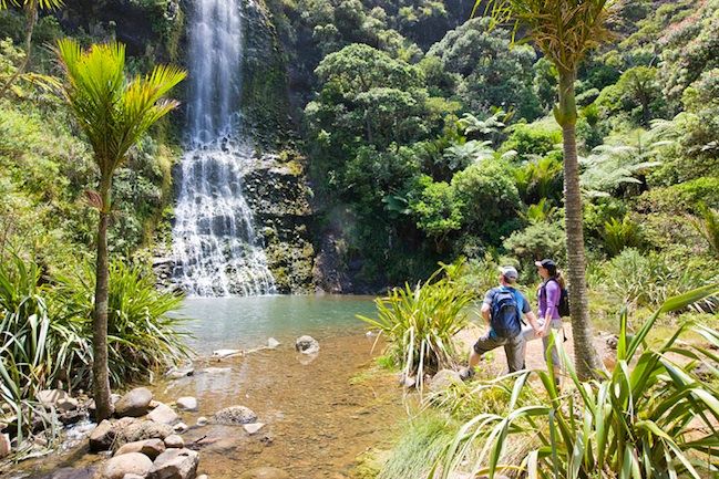 Auckland City & West Coast Luxury Tour - Volcano country and the black sand surprise