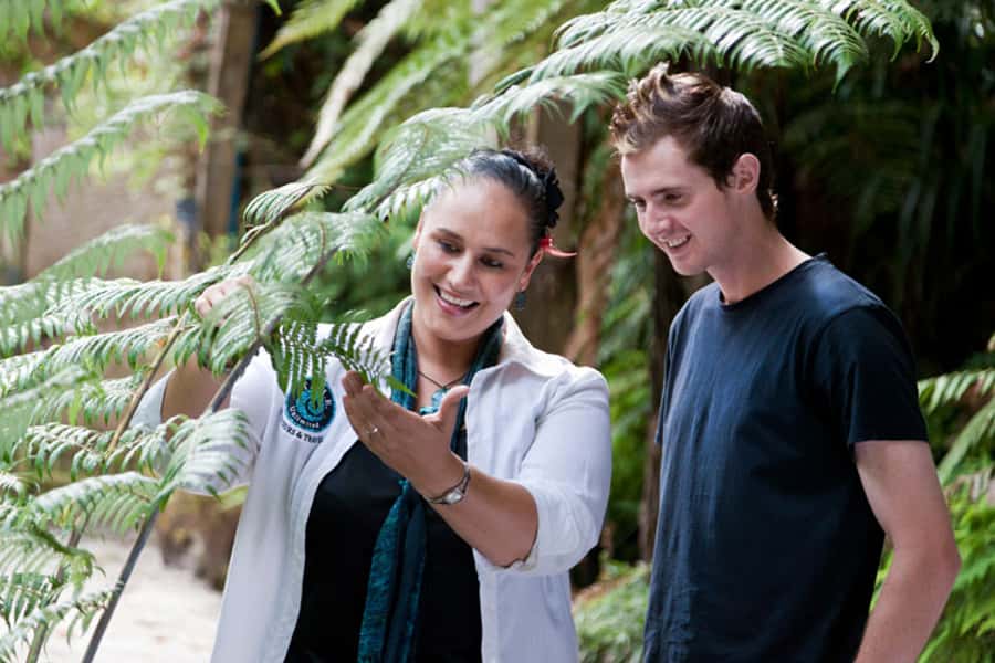 Auckland City & West Coast Luxury Tour - Māori culture, and how guides like Harry and Moral can shape the whole day