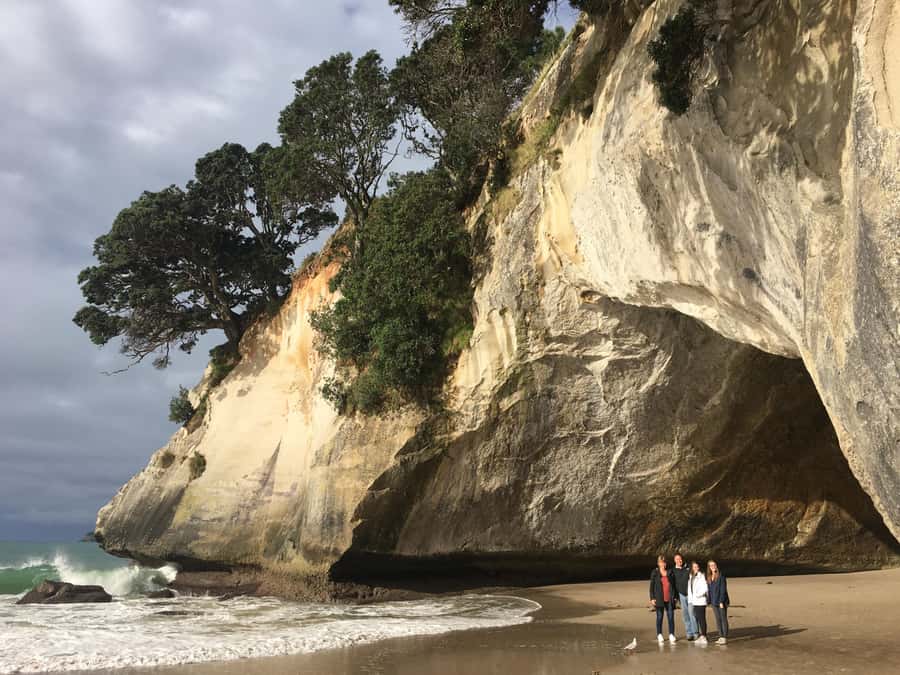 Auckland: Coromandel Day Tour including Hot Water Beach - Driving Creek Railway and Eyefull Tower: the train ride that changes the day
