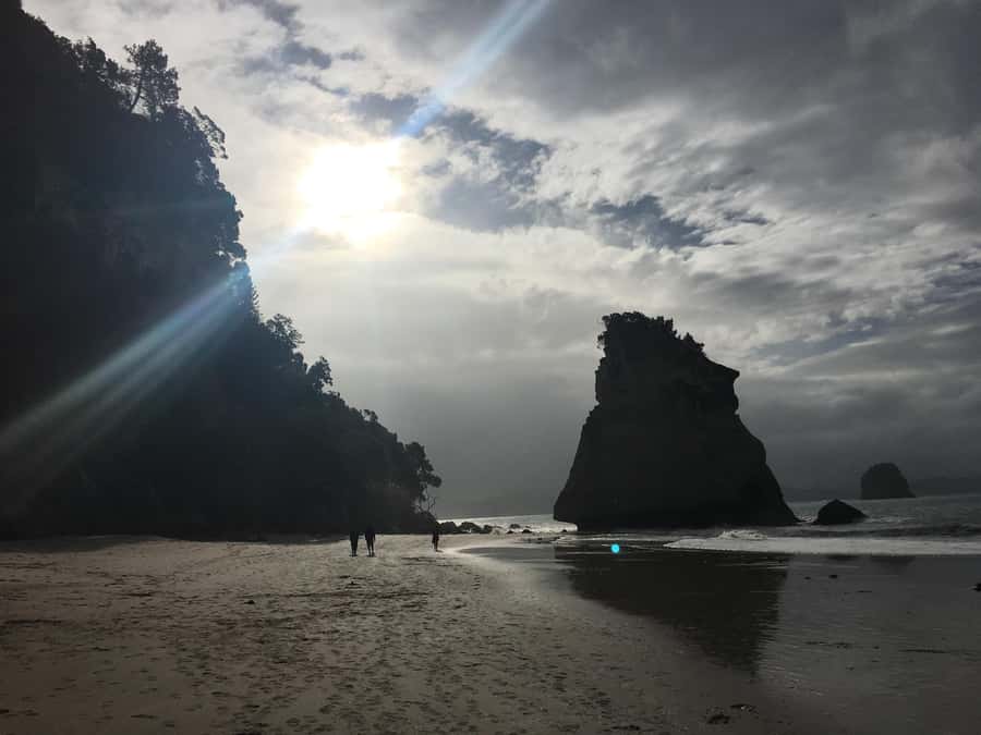 Auckland: Coromandel Day Tour including Hot Water Beach - Mercedes van, photo stops, and tide-based start times