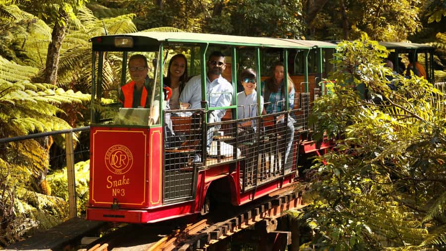 Auckland: Coromandel Driving Creek & Cathedral Cove Day Tour - Key things I’d bet on before you book