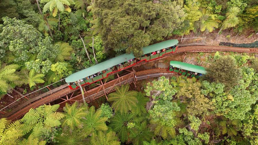 Auckland: Coromandel Driving Creek & Cathedral Cove Day Tour - Coromandel in a day: the coast, the railway, the postcard beach