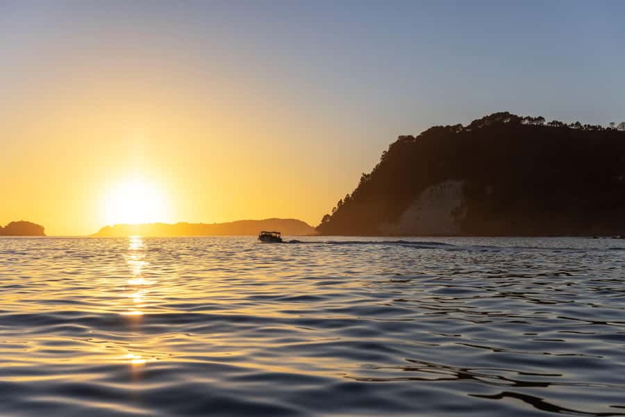 Auckland: Coromandel Driving Creek & Cathedral Cove Day Tour - Driving Creek Railway: a narrow-gauge craft ride through forest