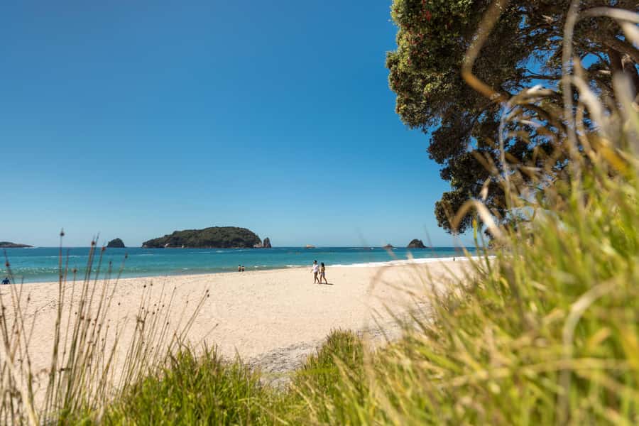 Auckland: Coromandel Driving Creek & Cathedral Cove Day Tour - The thermal pause at Lost Spring: when soaking makes sense