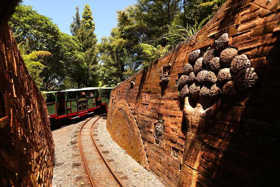 Auckland: Coromandel Driving Creek & Cathedral Cove Day Tour - Whitianga break time: where your lunch plan lives
