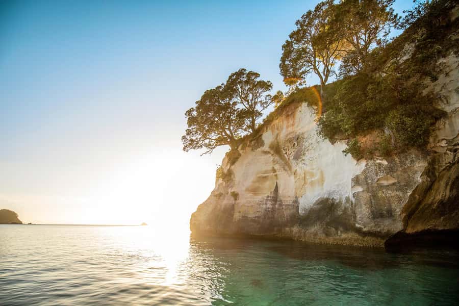 Auckland: Coromandel Driving Creek & Cathedral Cove Day Tour - Timing and what a full day does to your body
