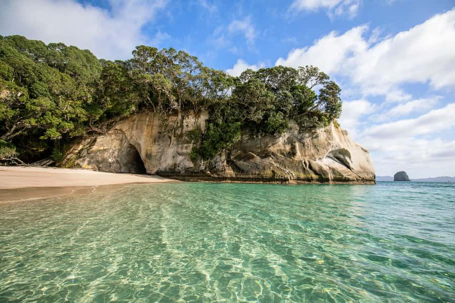 Auckland: Coromandel Driving Creek & Cathedral Cove Day Tour - The 6:15 AM start and the coastal drive via Thames