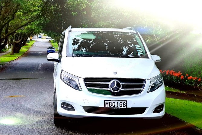 Auckland Cruise/Wharf & Airport Transfers - Key things to know before you transfer in Auckland