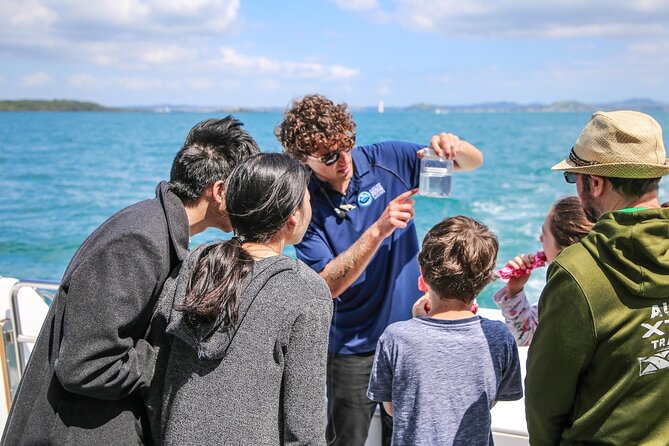 Auckland Dolphin and Whale Watching Eco-Safari Cruise - Price and value: $135.91 for a research-driven safari, not just a sightseeing boat